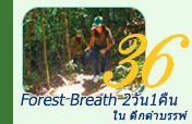 Forest Breath 2วัน1คืน