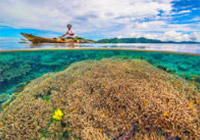 Raja Ampat by JC Tour