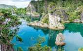 Be in Ecosystem Raja Ampat by JC Tour
