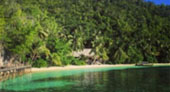 Be in Ecosystem Raja Ampat by JC Tour