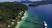 Be in Ecosystem Raja Ampat by JC Tour