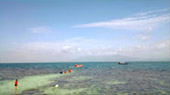 Snorkeling Meaning หมู่เกาะชุมพร หมู่เกาะประจวบ