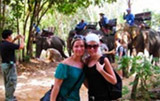 Elephant Trekking