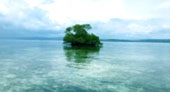 Escaped to Nature Raja Ampat by JC Tour
