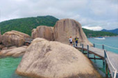 เกาะนางยวน เกาะเต่า 3 วัน 2 คืน