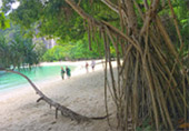 เหมาลำเรือ Classic Longtail Boat เส้นทางเกาะห้อง