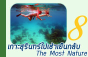 เกาะสุรินทร์ไปเช้า-เย็นกลับ