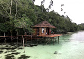 Memories of Rajaampat by JC Tour