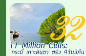 11 Million Cells: 4วัน3คืน