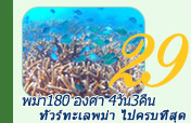 4วัน3คืน พม่า 180 องศา ทะเลพม่าไปครบที่สุด