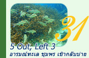 5 Out, Left 3: อารมณ์ทะเล ชุมพร