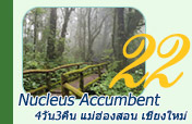 Nucleus Accumbent แม่ฮ่องสอน เชียงใหม่