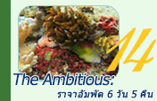 The Ambitious: ราจาอัมพัต