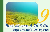 Best all sea: 4 วัน 3 คืน