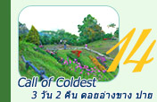 Call of Coldest ดอยอ่างขาง ปาย