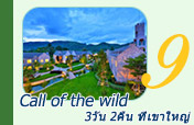 Call of the Wild: ที่เขาใหญ่