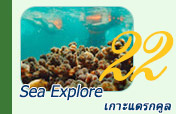 Sea Explore: เกาะแดรกคูล
