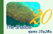 The Shallow: 3 วัน 2 คืน ชุมพร