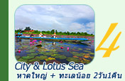 City and Lotus Sea 2วัน1คืน