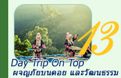 Day Trip On Top : ผจญภัยบนดอย  และวัฒนธรรม เชียงราย