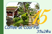 Coffee at Cool Pai 3วัน2คืน