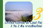 Coffee at Cool Pai 3วัน2คืน