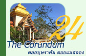 The Corundum: ดอยบุษราคัม ดอยแม่สลอง