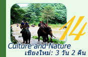 Culture and Nature 3วัน2คืน