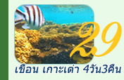 เขื่อน เกาะเต่า 4วัน3คืน