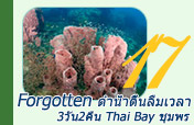 Forgotten ดำน้ำตื้นลืมเวลา 3วัน2คืน