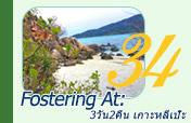 Fostering At: เกาะหลีเป๊ะ 3วัน2คืน