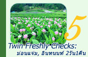 Twin Freshly Checks: ม่อนแจ่ม, อินทนนท์ 2วัน1คืน