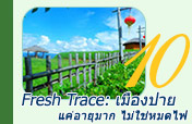 Fresh Trace: เมืองปาย