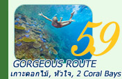 Gorgeous Route เกาะดอกไม้, หัวใจ, 2 Coral Bays