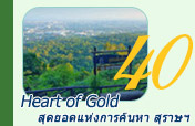 Heart of Gold: สุดยอดแห่งการค้นหา สุราษฎร์ธานี