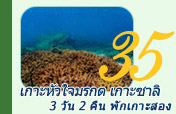 3วัน2คืน เกาะหัวใจ + เกาะซาลิ