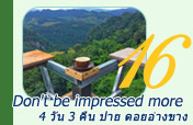 Don't be impressed more 4วัน3คืน ปาย ดอยอ่างขาง