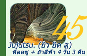 Jujutsu น้ำตกทีลอซู ถ้ำสีฟ้า 4วัน3คืน