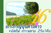 2วัน1คืนเกาะกำญี่ปุ่นค้างคาวเกาะพยาม