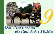 Do not be missed เชียงใหม่ ลำปาง 3วัน2คืน