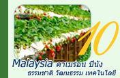 Malaysia: ธรรมชาติ วัฒนธรรม เทคโนโลยี 4วัน