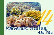 Marvelous: หาดใหญ่ 4วัน3คืน