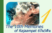 The 10th Memories of Rajaampat