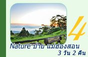 Nature ปาย แม่ฮ่องสอน