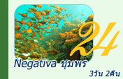 Negativa ชุมพร 3วัน2คืน