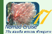 Nomad Cruise: ราจาอัมพัต 7วัน6คืน