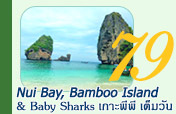Nui Bay Bamboo Island and Baby Sharks เกาะพีพี