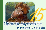 Optimal Experience: ราจาอัมพัต