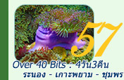 Over 40 Bits : 4วัน3คืน ระนองพยามชุมพร