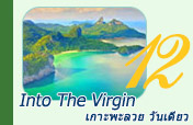 Into the Virgin: เกาะพะลวย